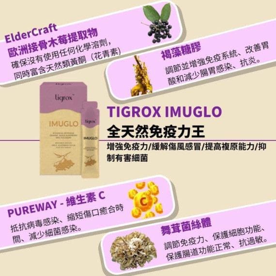 【現貨】Tigrox IMUGLO 接骨木莓保健飲 (1盒20包)